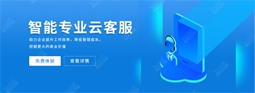 智能专业云客服